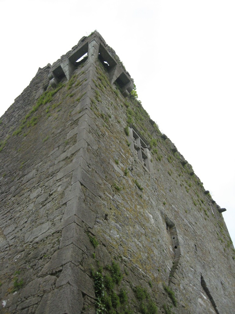 Ballynamona I, County Cork