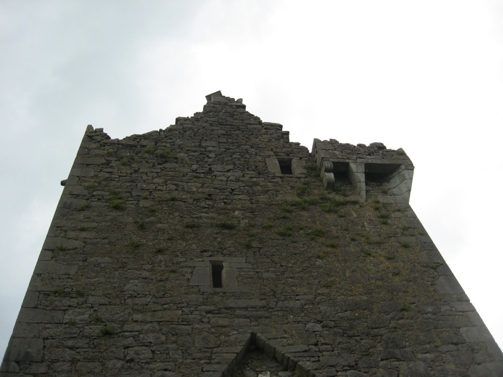 Ballynamona I, County Cork