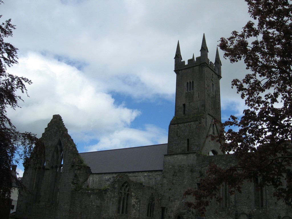 View from the south, Ennis Friary, County Clare