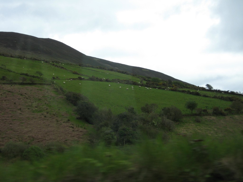 Along N69 between Limerick (Co Limerick) and Tarbert (Co Kerry)