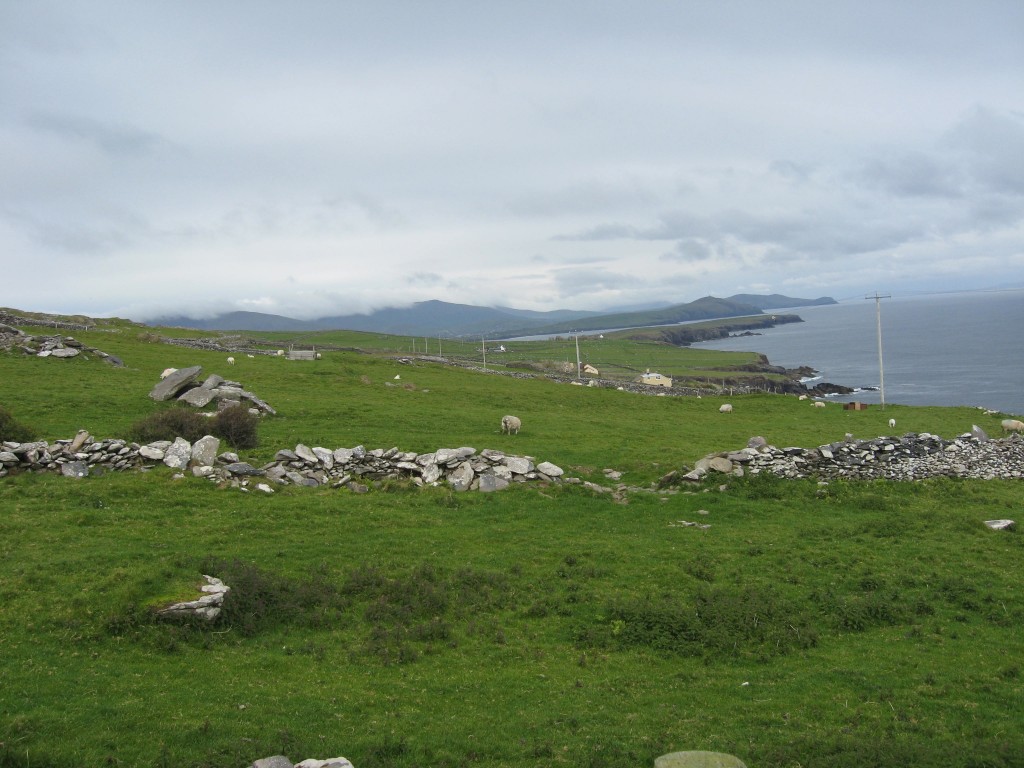 Sheep & stone , Dingle Peninsula, County Kerry