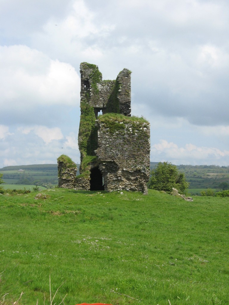 Unknown tower house, County Cork